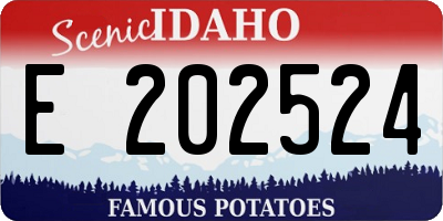 ID license plate E202524