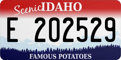ID license plate E202529