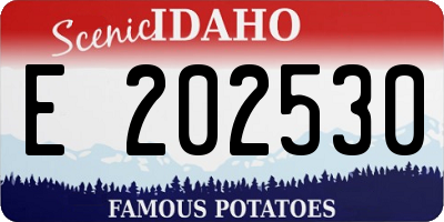 ID license plate E202530