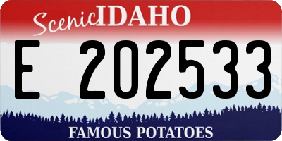 ID license plate E202533