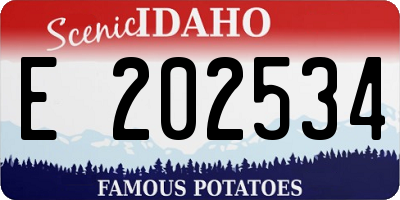 ID license plate E202534