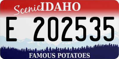 ID license plate E202535