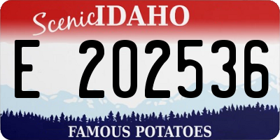 ID license plate E202536