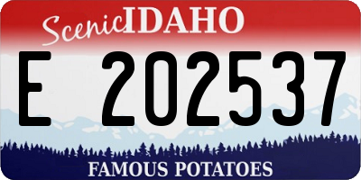 ID license plate E202537