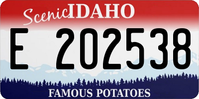 ID license plate E202538