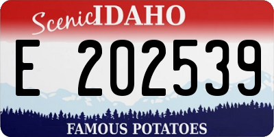 ID license plate E202539