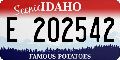 ID license plate E202542