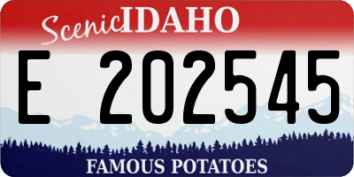 ID license plate E202545