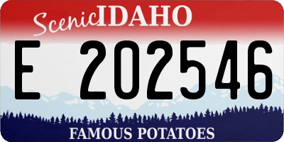 ID license plate E202546