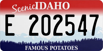 ID license plate E202547