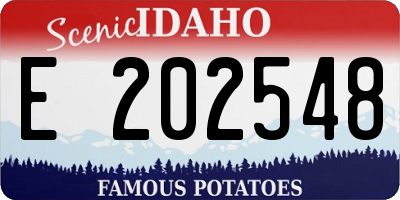 ID license plate E202548