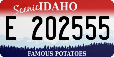ID license plate E202555