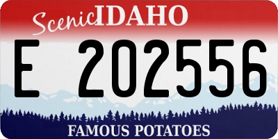ID license plate E202556