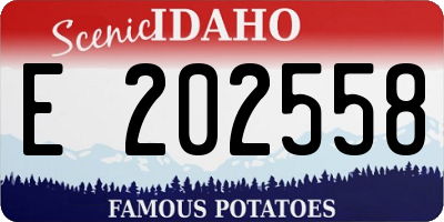 ID license plate E202558