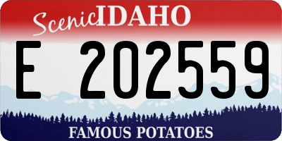 ID license plate E202559