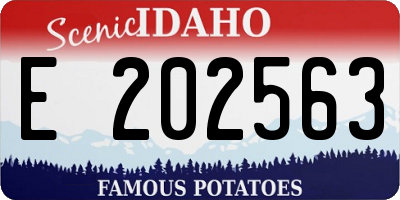 ID license plate E202563