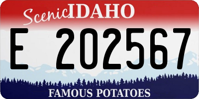 ID license plate E202567