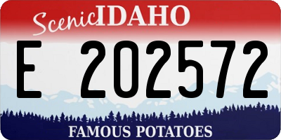 ID license plate E202572