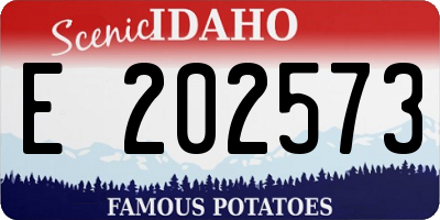 ID license plate E202573