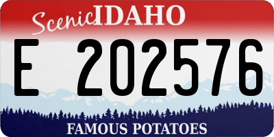 ID license plate E202576