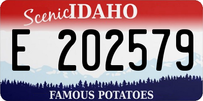 ID license plate E202579
