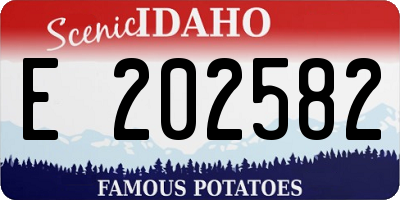 ID license plate E202582