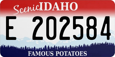 ID license plate E202584