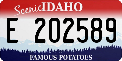ID license plate E202589