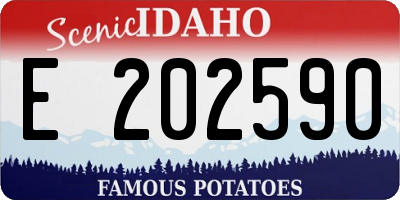 ID license plate E202590