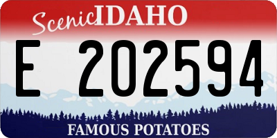 ID license plate E202594