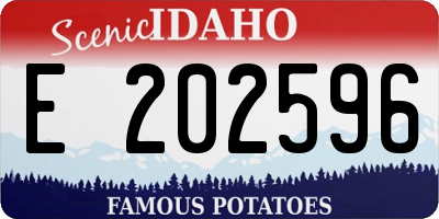 ID license plate E202596