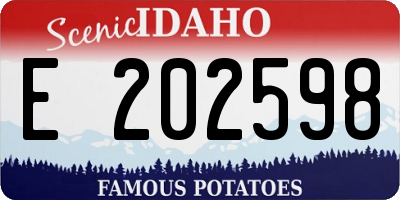ID license plate E202598