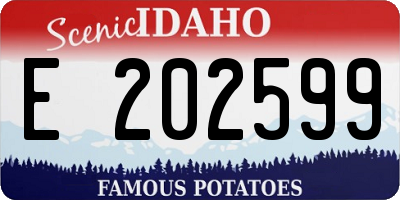ID license plate E202599