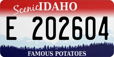 ID license plate E202604