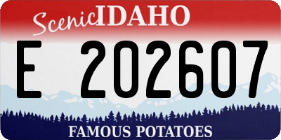 ID license plate E202607
