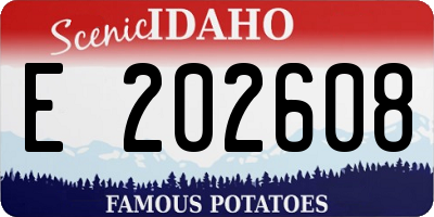 ID license plate E202608
