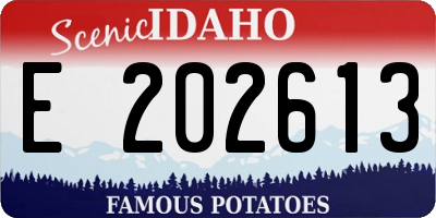 ID license plate E202613