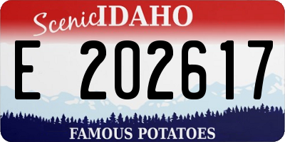 ID license plate E202617
