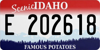 ID license plate E202618