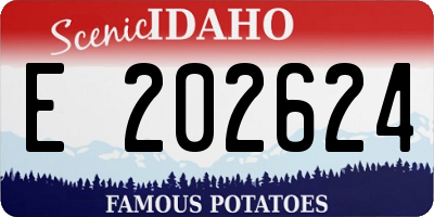 ID license plate E202624