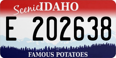ID license plate E202638