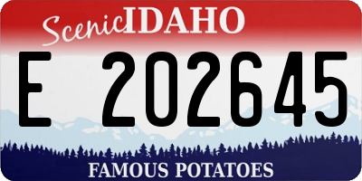 ID license plate E202645