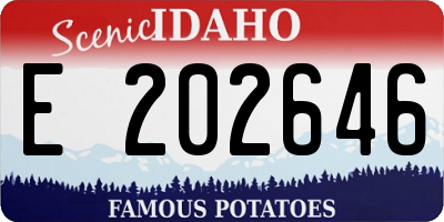 ID license plate E202646