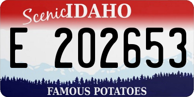 ID license plate E202653