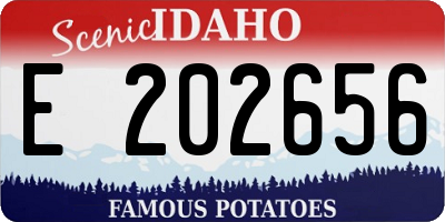 ID license plate E202656