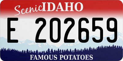 ID license plate E202659