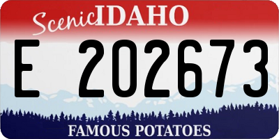 ID license plate E202673