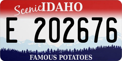 ID license plate E202676