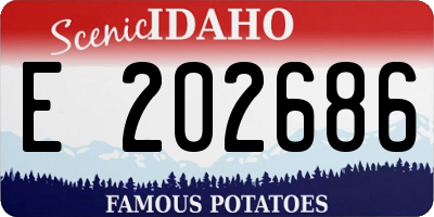 ID license plate E202686