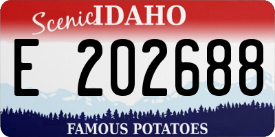 ID license plate E202688